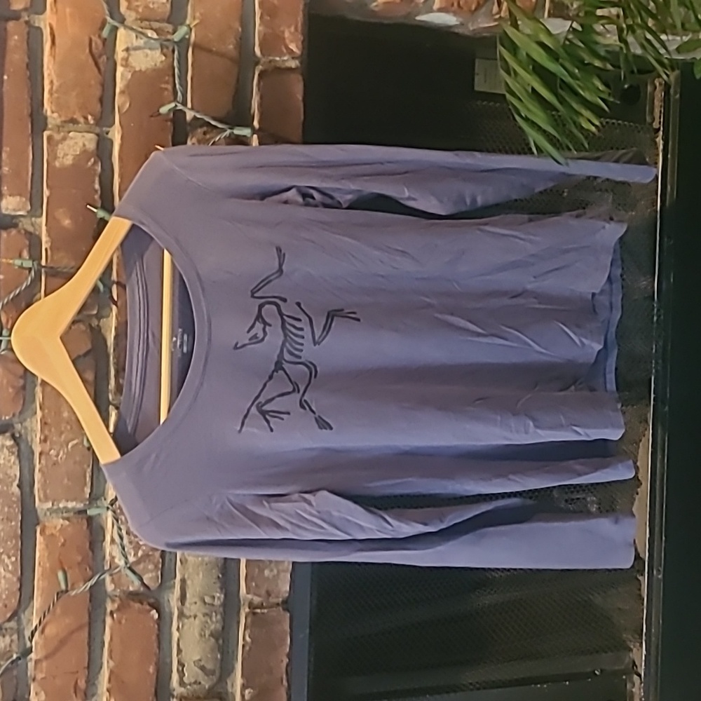 Arc'teryx dusty blue long sleeve